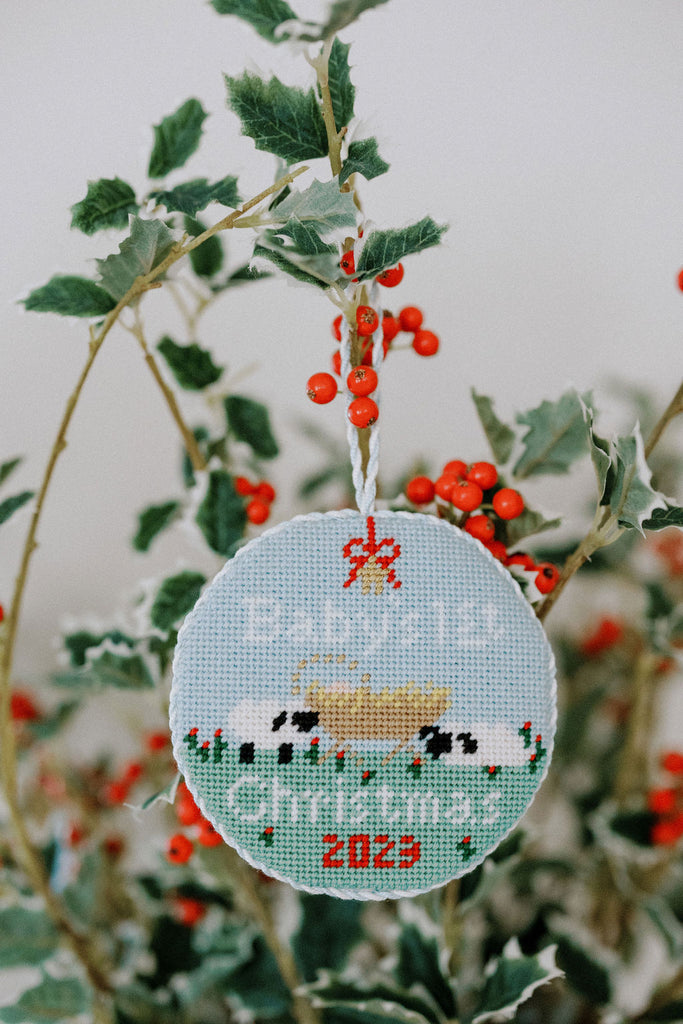 Baby's First Christmas– Le Point Studio - Main Image